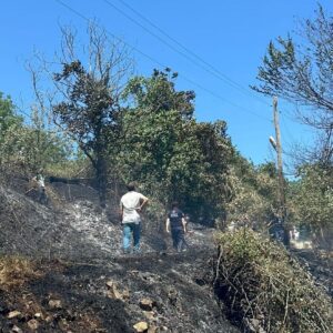samsunda findik bahcesi yandi CCiOwlEX