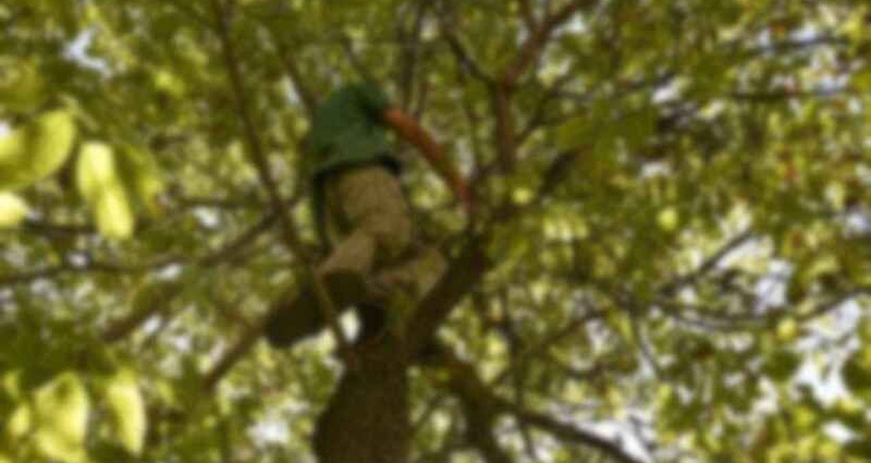 agactan dustu hastanede oldu rGJZt8xn