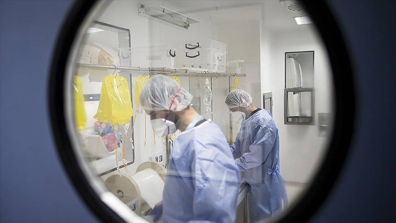 saglik okuryazarligi hastaliklardan korur QxkP88C6