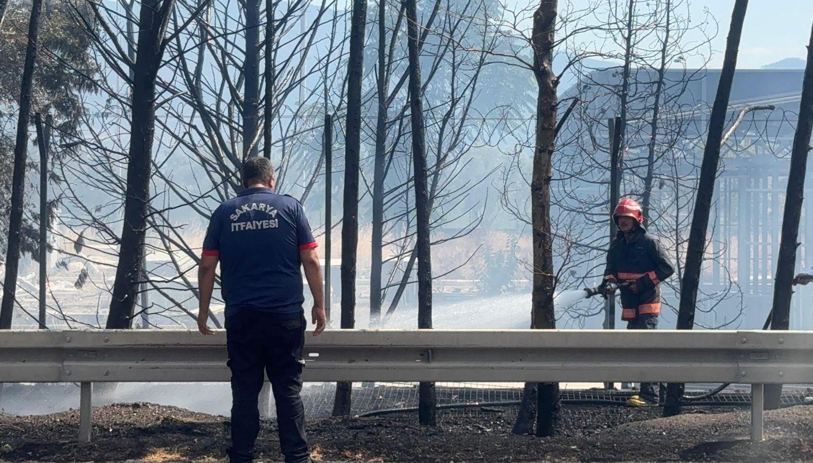 Sakarya’da ağaçlık alanda çıkan yangın kontrol altında sakaryada agaclik alanda cikan yangin kontrol altinda zEeYOiR4