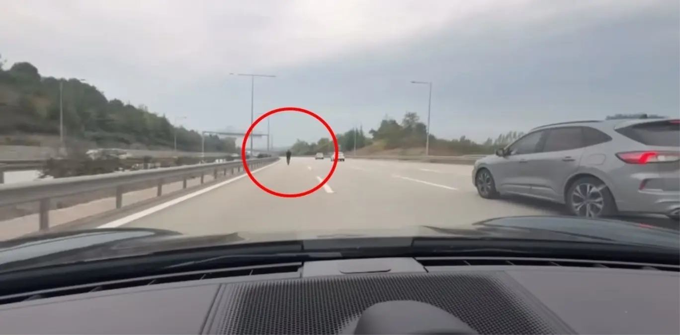 bursada yaya otoyolda son anda kurtarildi tDySgJMR.jpg