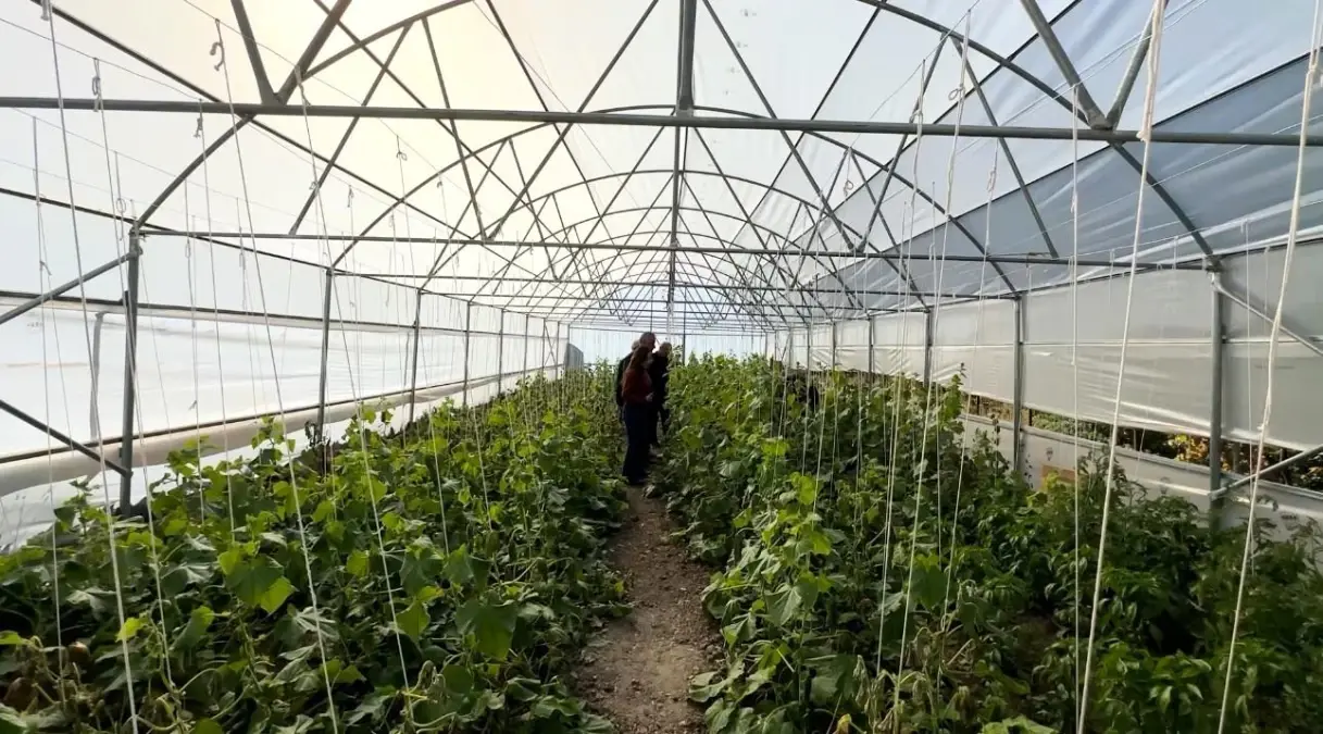 hakkaride bosaltilan koyler yeniden canlaniyor koye donus projeleri ile seracilik basladi HgJLgMWJ.jpg