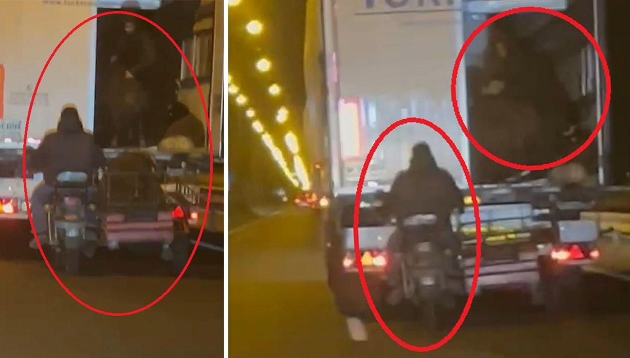 yoldaki tirdan koyun caldilar kaza yapinca hayvanlari birakip kactilar Hek8WiYC.jpg