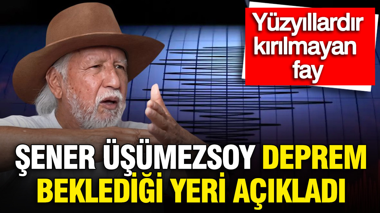 Prof. Dr. Şener Üşümezsoy Yedisu Fayı Hakkında Beklentilerini Açıkladı: Kırılmamış Fayların Tehlikesi